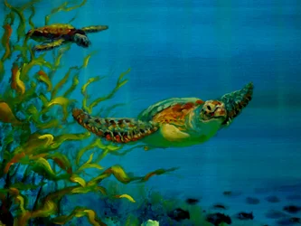 Green Turtle